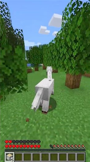 Minecraft, But You Transform Into Random Mobs Every 30 Seconds!