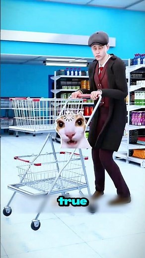 The introduction of shopping cart