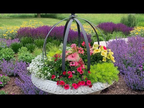 Summer Container Ideas & Recipes!