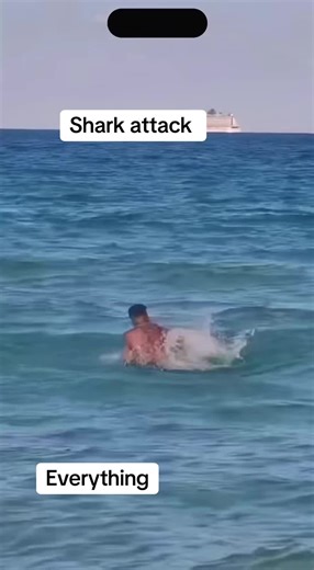 Understanding Shark Attacks and Safety Measures