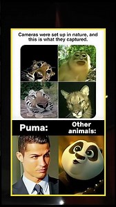 🤯When Logic Goes on Vacation!#funnymeme#memes#memesdaily#ytshorts#viral#comedyshorts