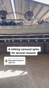 3.4K views · 28 reactions | There are many reasons a milking carousel spins. This video covers a few. #dairygoround #carousel #milking #rotary #parlor #milk #merrygoround #dairy #cows #dairydoc #dairykind | Dairy Doc | Facebook