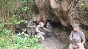 Who's been caught out by this scary monster in the woods before? Will he be waiting round the corner for you on 14 October? http://www.mudmonstersrun.co.uk/sign-up | Mud Monsters Run