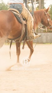 How To Teach A Horse To Track And Rate Part 2.1 Val is learning the rope horse fundamentals and she is picking it up quickly. Getting a horse to do their job without help from the rider is both easy and necessary. Any horse can track and rate on their own and that frees us up so we can rope at our best. I want my horse to be loyal as a dog, brave as a bear, and light as a butterfly. B1 Horsemanship is a one-of-a-kind company that prides itself on providing an extensive and authentic collection o