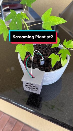 It was a lot of fun refining my plant idea and Arduino Cloud def made it cooler #bluehandcoding #arduino #plants #fyp #coding #programming #esp32 #techtok #gardening
