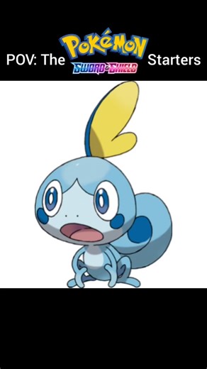 POV: The Pokémon Sword & Shield Starters🦎💧🐇🔥🐒🥬