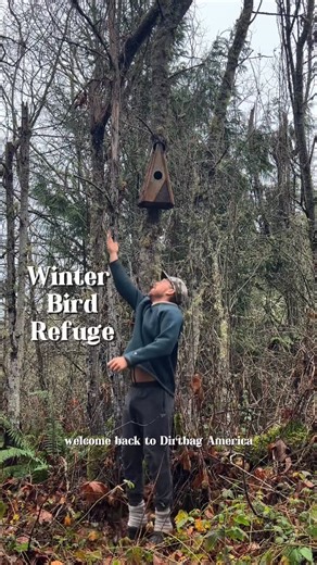 Jake on Instagram: "Flock to me, oh bird babies #dirtbag #build #owlbox #kiwibitbeako @kiwibit.beako"