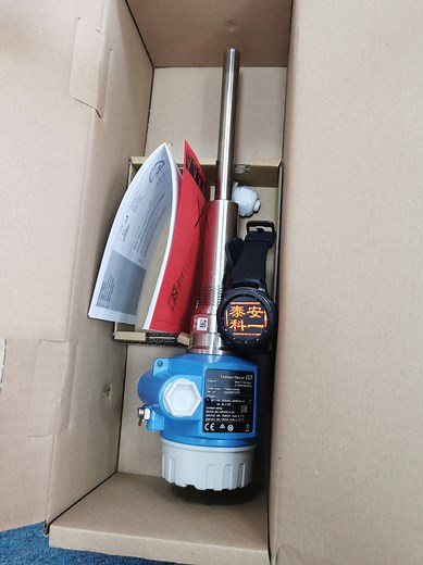 [Hot Item] Endress+Hauser Soliphant T Ftm20/Ftm21 Vibronic Fork Level Switch Sensor