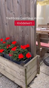 ☀️“Größter Gastgarten Österreichs“☀️ Dazu gehört auch der Knödelwirt - ein traditioneller Bestandteil der Welser Gastronomieszene. 😋 | Wels Info