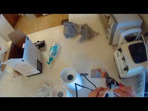 Mainstays Personal Blender review from Walmart