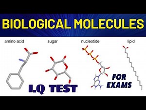 IGCSE Biology Questions and Answers | BIOLOGICAL MOLECULES