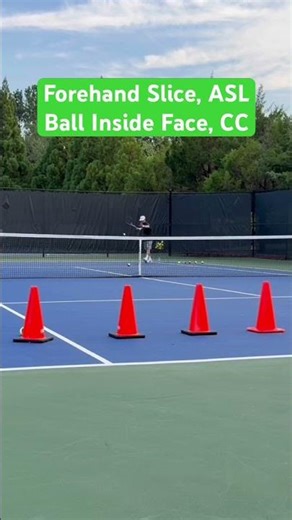 PreBeginner,DS0,Forehand Slice,Ball Inside Face,Waist High,@A2,ASL,CC, Regular/Slow Motion, Music