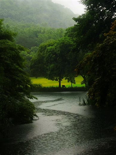 Retire Final: Anime Garden of Words