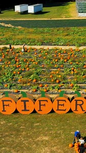 6.7K views |  Fall into fun at Fifer's! 拾  See you there for the ultimate Fall experience!✨ Don't miss out- we're open this Mon - Sat! ⏰ Discounts Online  Fifer's | Wyoming, DE  Pumpkin patch, attractions, delicious Fall treats, photo ops & MORE Fall family fun! | Fifer Orchards | Facebook