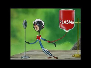 Tex Avery - O Pequeno Gambá