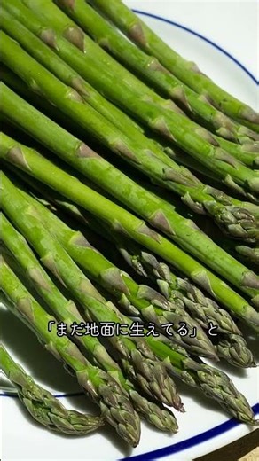 [Don't throw it away!] Keep your asparagus fresh for a week! A dramatically longer-lasting preser...