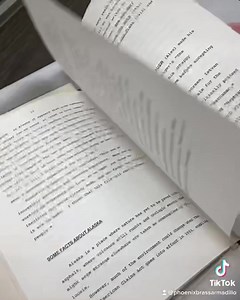 Movie Press Kit Jack London's White Fang Movie Photo and Info Booklet. Price $9.50 Booth 120 -vendor 126 #movie #whitefang #disney #jacklondon #presskit #brassarmadillo #thephoenixbrassarmadillomall #brassarmadillophoinex | Brass Armadillo Antique Mall - Phoenix | Facebook