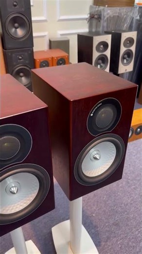 Loa Monitor audio RX2 giá 7,8tr bass 21 màng nhôm chấm bi #loabai #speaker #loachauau #hathanhaudios