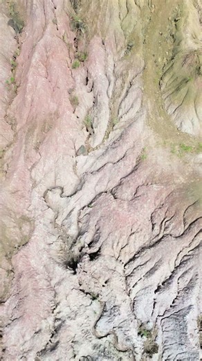 Siembra de agua en el desierto: un reto ecológico