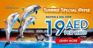 2.6K reactions · 133 shares | Dubai Dolphinarium brings you one of UAE's best and favorite attractions: Dolphin & Seal Show, Exotic Birds Show and more! Follow our page for latest news and offers! | Dubai Dolphinarium | Facebook