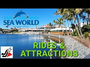 SEAWORLD - GOLD COAST THEME PARK | Rides & Attractions!