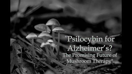 Psilocybin for Alzheimer’s? The Promising Future of Mushroom Therapy | Elise Lee Berdugo-Gilbert