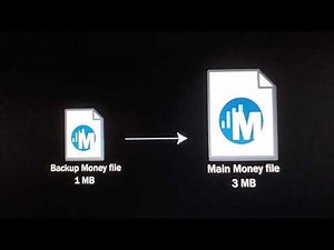 Microsoft Money 2004: Work With Backup Files