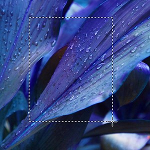 361 reactions · 11 comments | Create more photorealistic images with the most advanced Generative Fill yet, now with the latest Adobe Firefly Image Model. | Adobe Photoshop | Facebook