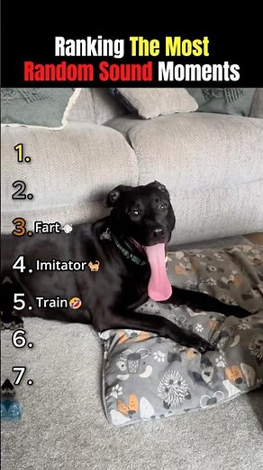 Ranking The Most RANDOM Sound Moments Ever🤣