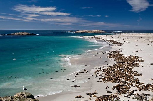 San Miguel Island - Channel Islands National Park (U.S. National Park Service)