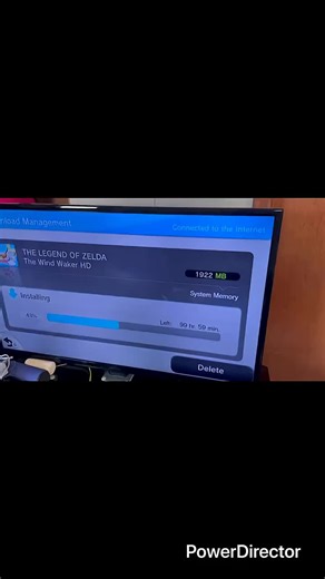 Wind Waker HD Issues on Wii U: A Call for Nintendo Action