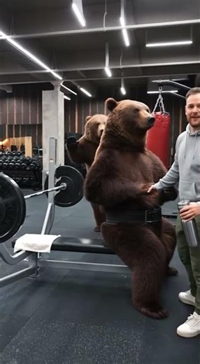 Bear Working Out in the Gym 🐻💪Ever seen a bear pump iron like a bodybuilder? 🐻🏋️‍♂️