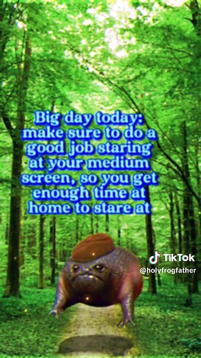 Holy Frog Father on TikTok