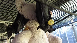 47K views · 7.5K reactions | Life is full of change and so it is with...