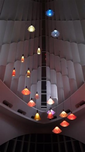 800 reactions · 107 shares | A field of night-blooming flowers.  Experience “Meadow” after sunset every Thursday evening when admission is pay-what-you-wish from 4–8 p.m. Music by Aidan Brusubardis | Milwaukee Art Museum | Facebook