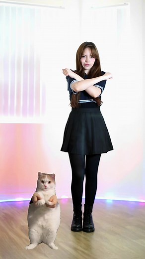 ¿Ya vieron el meme del gato? Sí que sabe bailar 🐱😆 #dancingcat #dancefyp