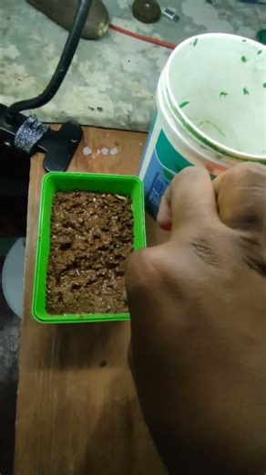 Smart Soil Moisture Sensor Project 🌱 | Simple Science Project #Shorts