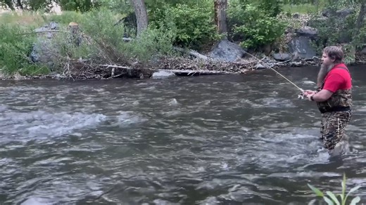 Watch Fishing Lure 7-Piece Topwater & Swimbait Set on Amazon Live