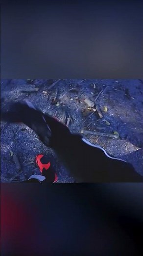 This Is Why Riders Are Different 🚦(credit: @moto.dannn)