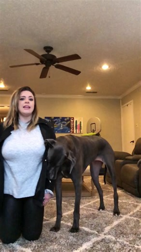 Sneezing at Weird Times Compilation
