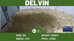 LIVE from Delvin Mart! Log on to www.lslauctions.com to watch live and check out the video highlights! | LSL Auctions