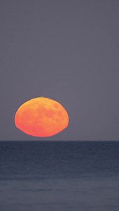 9.2K views · 2.1K reactions | Thought everyone would like a close up view of a Full moon rising over the Atlantic Ocean. It’s pretty cool to see it on this scale and to watch all the birds flying by. 44 seconds into the video you can see 4 birds fly directly over the moon which I thought was pretty neat. Have you ever seen it this close? Have a good day!  | Elliot MacGuire Photography | Facebook