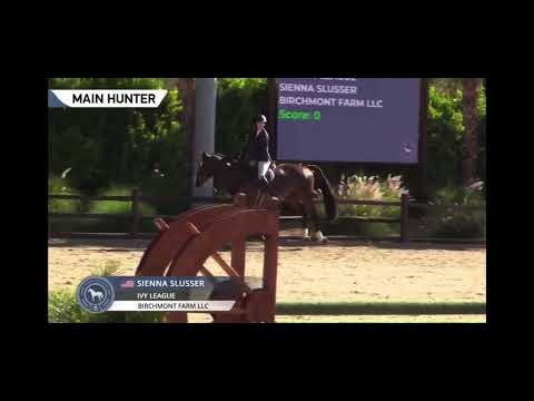 3’6” Junior Hunter handy round with Ivy League- score 82