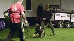 13K views · 270 reactions | IGP Training Weekend with friends Obedience & Protection | Shield-K9 Dog Training | Facebook