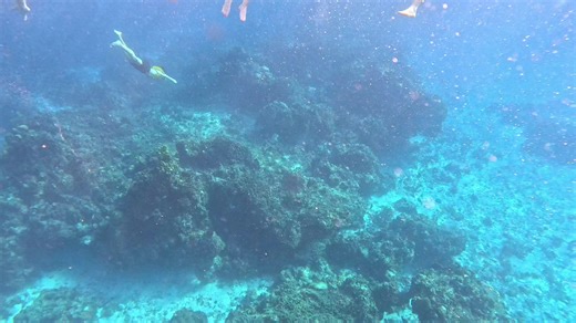 Cozumel offers world-class snorkeling, with numerous accessible shore spots and boat-only reefs featuring vibrant marine life and crystal-clear waters. The calm western side of the island is best for snorkeling, while tours to special locations like El Cielo provide unique experiences. #mexico #cozumel #paradiseexperiencetours