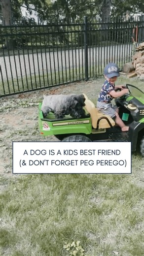 A kids best friend. The Gator XUV ensures every ride is a delightful experience for your child and their best four-legged buddy! 📸: @gatsby_minischnauzer • • • #pegperego #pegperegousa #pegperegotoys #pegperegochristmas #rideintojoy #toyideas #pegperegoadventure #gatorxuvFun #bestfriendsrides | Peg Perego USA