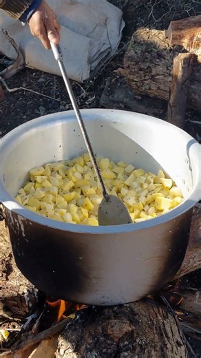 The Surprising History of Popcorn in America 🍿 | From Ancient Snack to Movie Theater Favorite #short