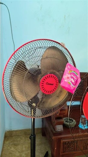 lasko fan ventilador #ventilador #fan #shorts #shortvideo