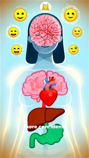 Your Brain on Booze (What Alcohol Really Does) #booze