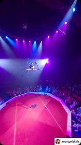 Incredible aerial strap act from @montynickels! ⭐️ #aerialartsassoc | Aerial Arts Association